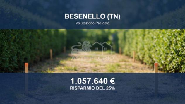 Immobile in asta di 2765 m² in vendita a Besenello
