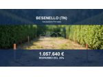 Immobile in asta di 2765 m² in vendita a Besenello