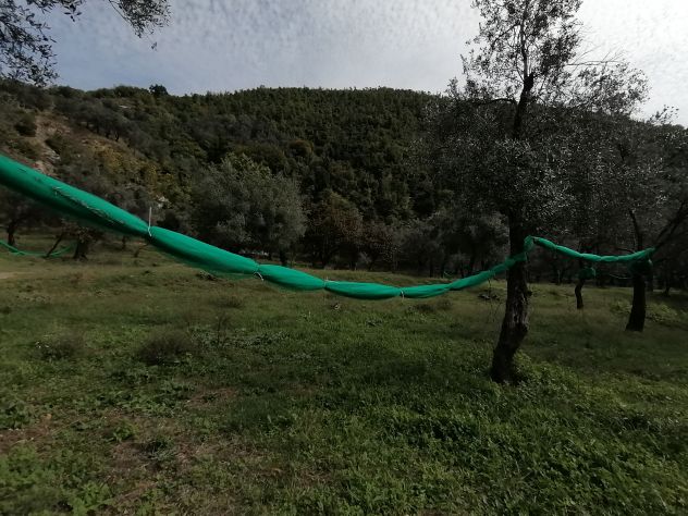 GIFFONI VALLE PIANA LOC. BELVEDERE Terreno di 13 ETTARI - Foto 7