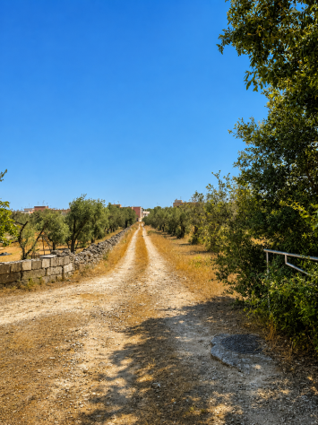 TERRENO IN VENDITA - Foto 4