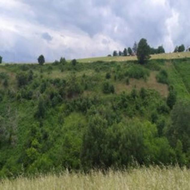 Immobile in asta di 4 m² in vendita a Rionero in Vulture - Foto 5