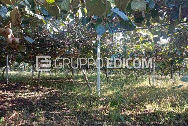 Terreno in vendita a Rizziconi - Rif. 4547606