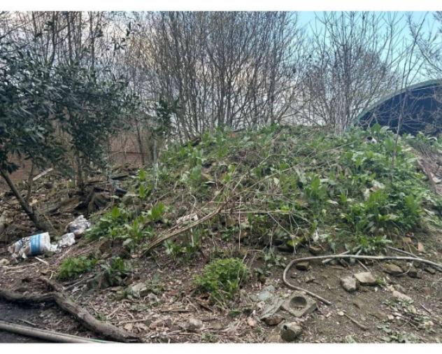 Immobile in asta di 910 m² in vendita a San Possidonio - Foto 4