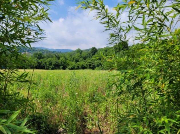 Immobile in asta di 6881 m² in vendita a San Vito di Leguzzano - Foto 4