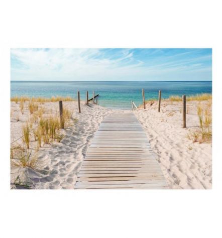 Fotomurale Adesivo Per Le Vacanze Estive Arredalacasa - Foto 2