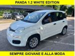 FIAT Panda 1.2 White edition Euro6  rif. 23910315