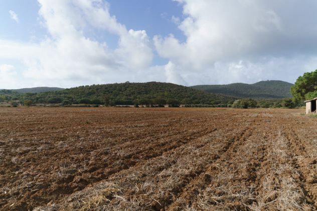 Magliano in Toscana, Podere Pantanella unione di passione e buon gusto - Foto 16