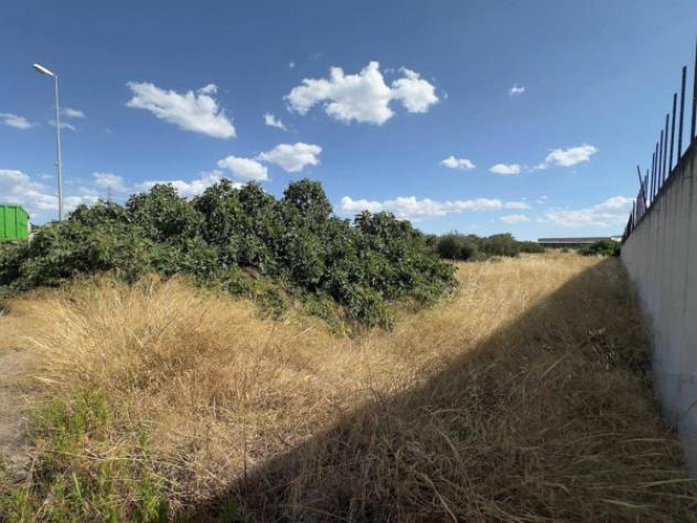 Immobile in asta di 13458 m² in vendita a Andria - Foto 4