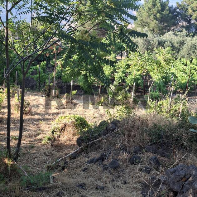 Terreno in vendita a Castiglione di Sicilia - Foto 4