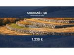 Immobile in asta di 2100 m² in vendita a Cuorgnè
