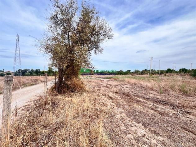 Rif: 2755 - Terreno agricolo in vendita Comiso-Vittoria – Zona Le Dune - Foto 5