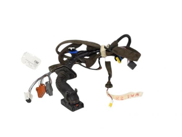 Cablaggio Porta Anteriore Sinistra Renault Scenic 8200235813 - 07427