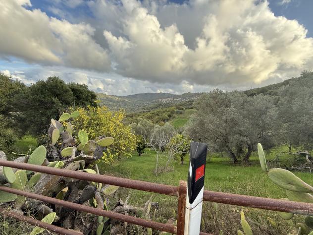 Agricolo in Contrada Gelso