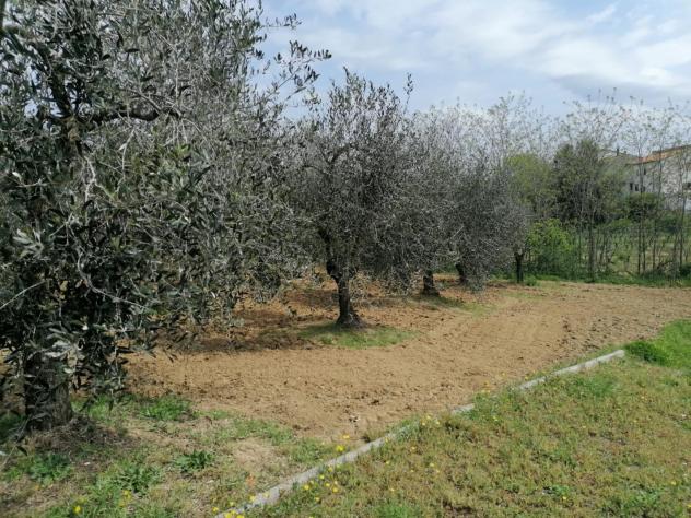Terreno agricolo in vendita a Perignano - Casciana Terme Lari 10260 mq Rif: 1319002 - Foto 2