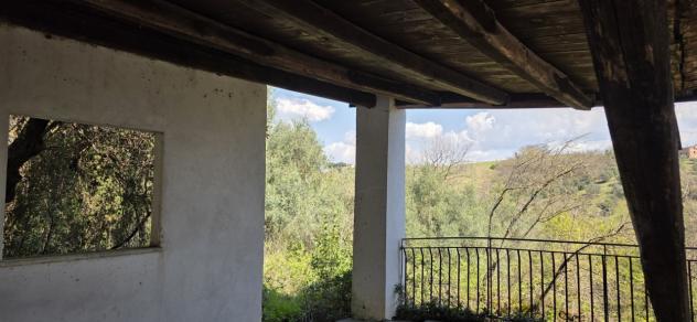 Uliveto in vendita a Morlupo - Foto 14