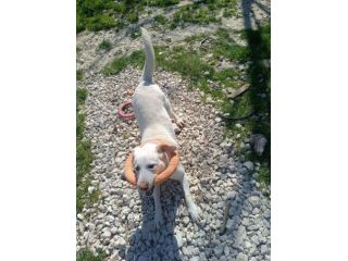 Casper