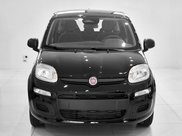 FIAT Panda Panda 1.0 Hybrid Pop - Foto 3