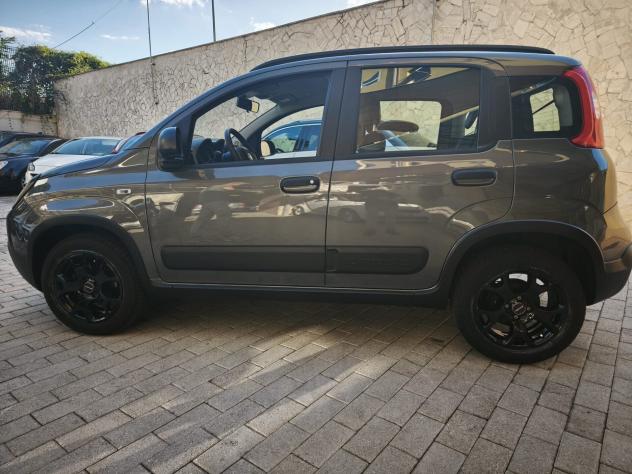 Fiat Panda Cross 1.0 FireFly S&S Hybrid - Foto 6
