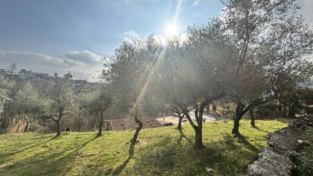 Rustico/Casale/Corte - Alatri . Rif.: Cod. rif 3297841VRG - Foto 5