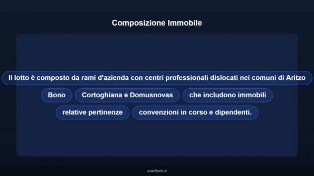 Immobile in asta di 2291 m² in vendita a Aritzo - Foto 7