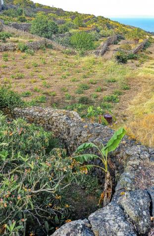 Altro in vendita a Pantelleria - Foto 19
