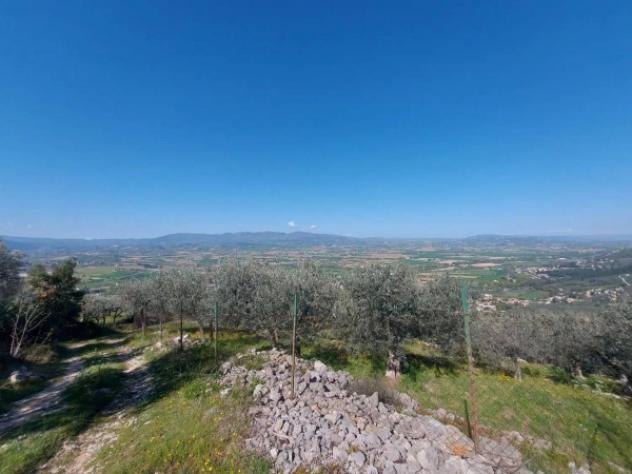 Immobile in asta di 4934 m² in vendita a Campello sul Clitunno - Foto 2