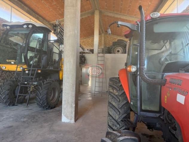 SAN GIORGIO (CAPC78): Capannone uso agricolo con annesso terreno agricolo. - Foto 9