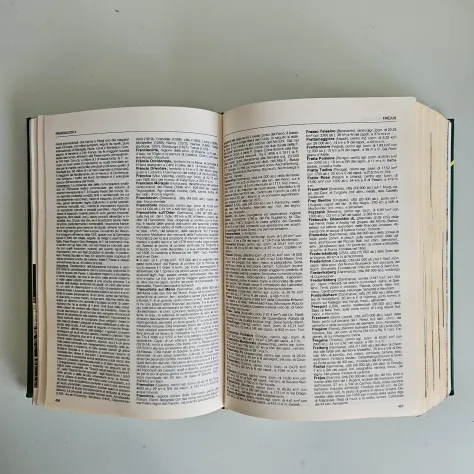 Enciclopedia Della Geografia - Compact - DeAgostini - 1996 - Foto 3