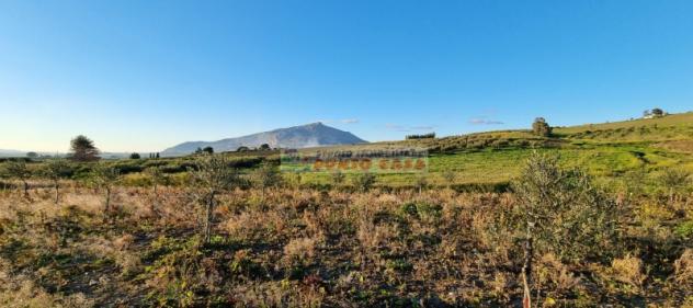 NAPOLA – Terreno di 23.000 mq ca. Euro 68 MILA - Foto 5