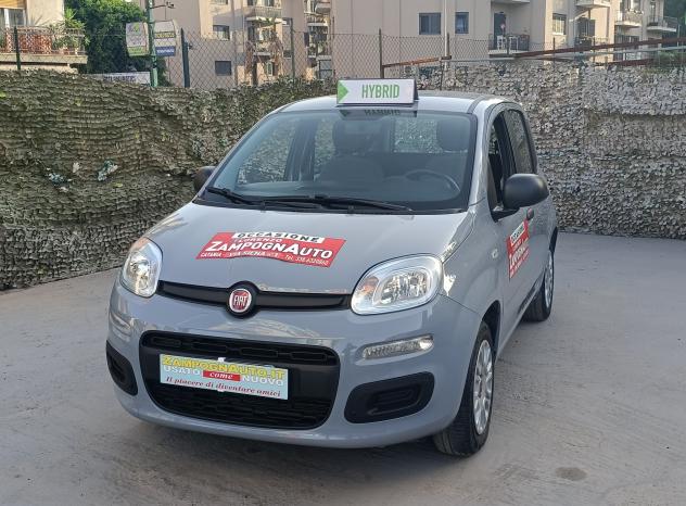 Fiat Panda 1.0 FireFly S&S Hybrid PER NEOPATENTATO ZAMPOGNAUTO CT - Foto 2
