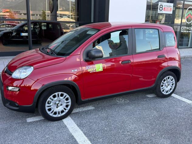 FIAT Panda NEW 1.0 70cv Hybrid PANDA
