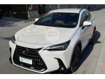LEXUS NX 350h Hybrid 4WD Luxury