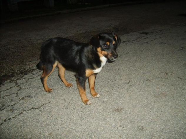 2 dolcissime sorelline in strada! - Foto 2