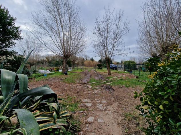 Casale in vendita a Valtriano - Fauglia 340 mq Rif: 1408917 - Foto 7