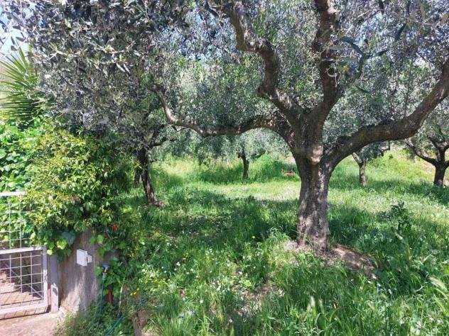 Villa in vendita a Sarzana - Foto 11