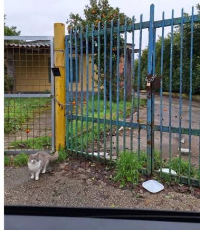 Immobile in asta di 598 m² con più di 5 locali in vendita a Cassino - Foto 7