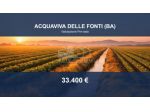 Immobile in asta di 15880 m² in vendita a Acquaviva delle Fonti