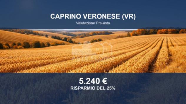 Immobile in asta di 8949 m² in vendita a Caprino Veronese
