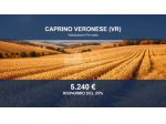 Immobile in asta di 8949 m² in vendita a Caprino Veronese