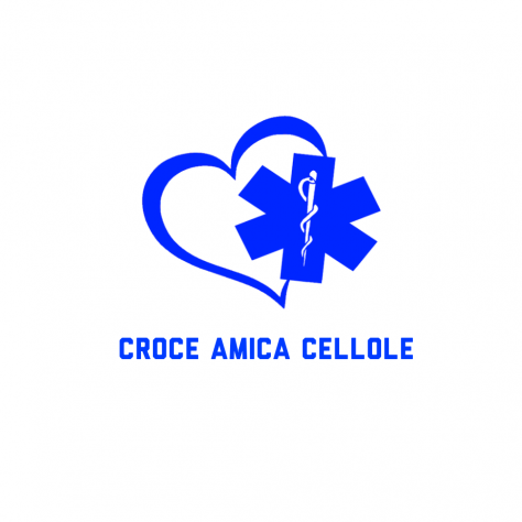 Ambulanza Privata Croce Amica Cellole