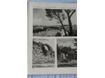 Roma edizione 1942 touring club volume decimo parte seconda con illustrazioni