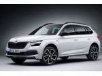 SKODA Kamiq 1.5 TSI ACT Your Way rif. 23255619