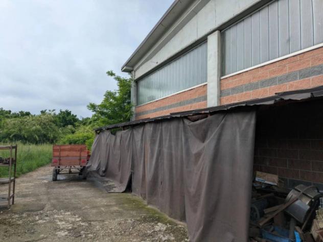 Immobile in asta di 160 m² in vendita a Margarita - Foto 7