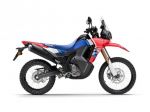 Honda CRF 300 Rally CRF 300 RALLY - YM 2026