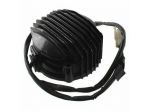 Carter alternatore Yamaha FZ 400 R