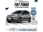FIAT - Panda - 1.0 FireFly S&S Hybrid Launch Ed.