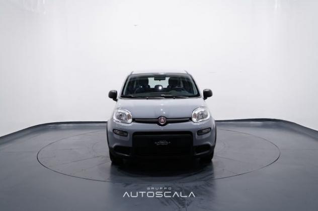 FIAT New Panda 1.0 FireFly S&S Hybrid rif. 23780418 - Foto 2