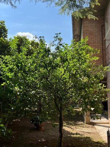 Villetta bifamiliare in vendita a Poggibonsi 195 mq Rif: 1349500