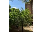 Villetta bifamiliare in vendita a Poggibonsi 195 mq  Rif: 1349500