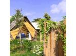 Ciraccio Procida Camp & Resort